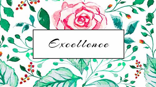 formule excellence : reportage mariage 974